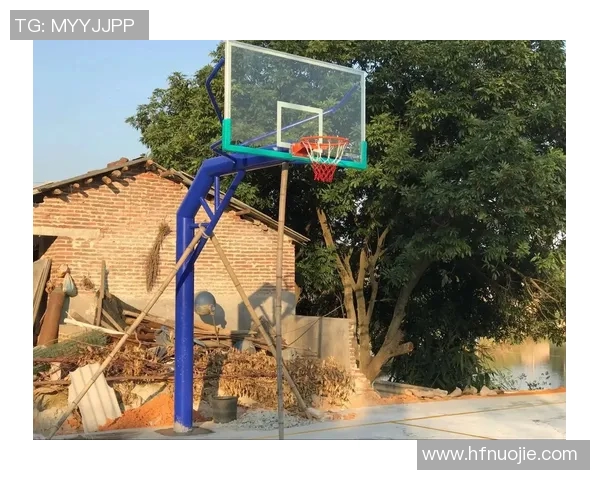 专业篮球架体育器材供应服务助力您的运动梦想与健康生活